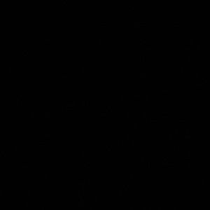 Meet your Posher, Shantal